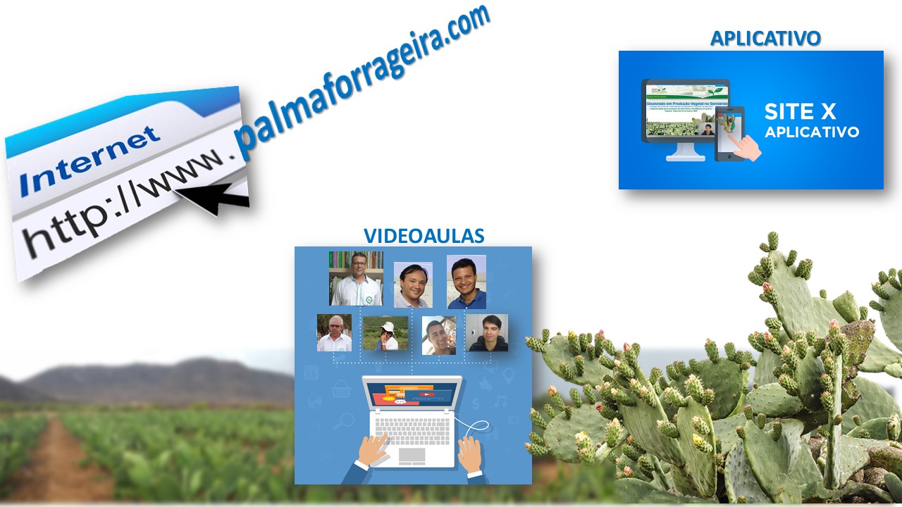 Doutor Palma forrageira