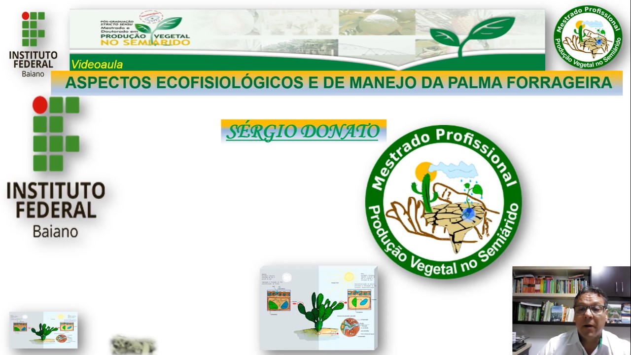 Aspectos ecofisiológicos e de manejo da palma forrageira