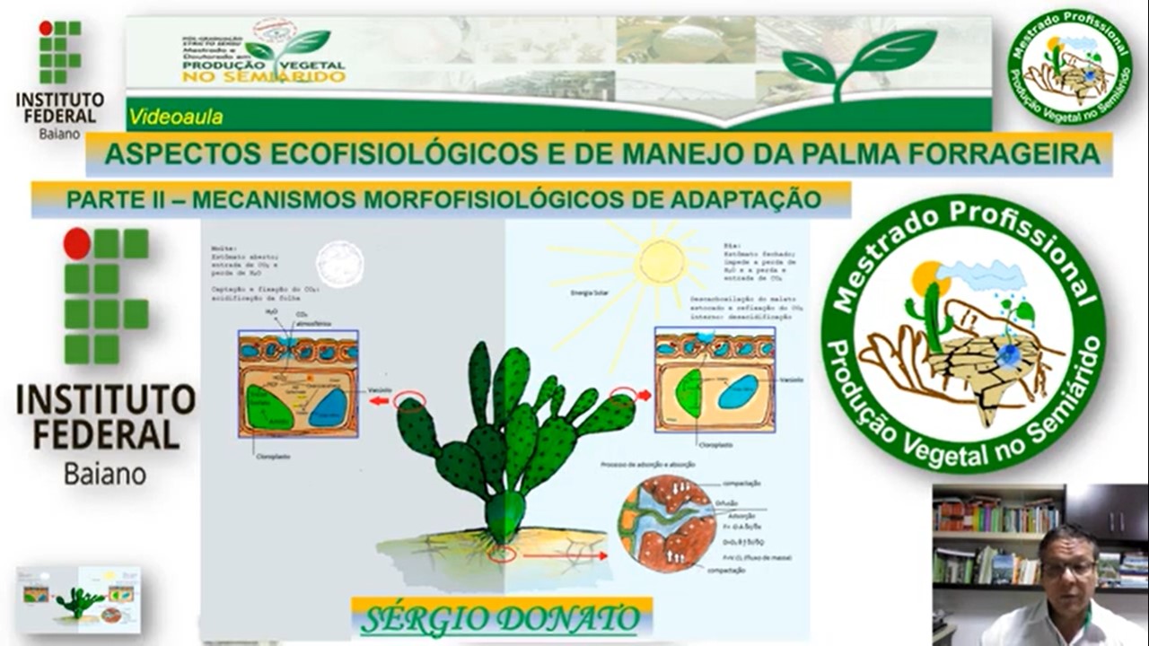 Aspectos ecofisiológicos e de manejo da palma forrageira (Parte II)