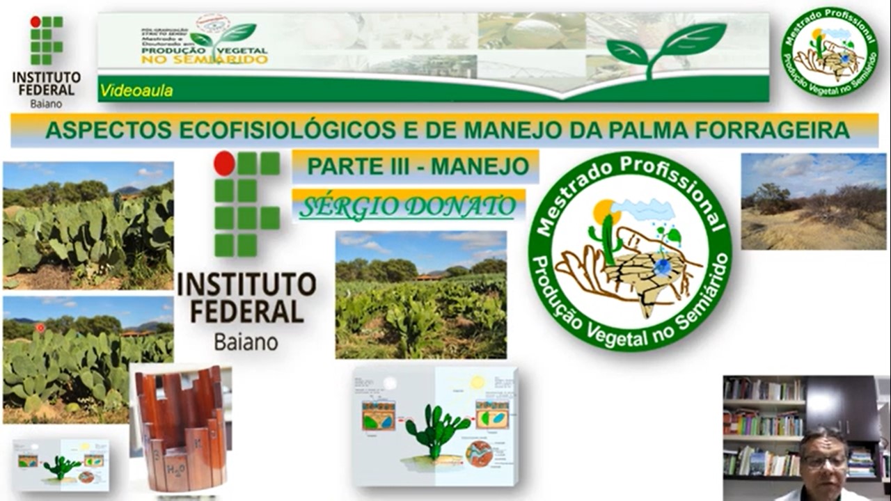 Ecofisiologia Palma forrageira (Parte III)
