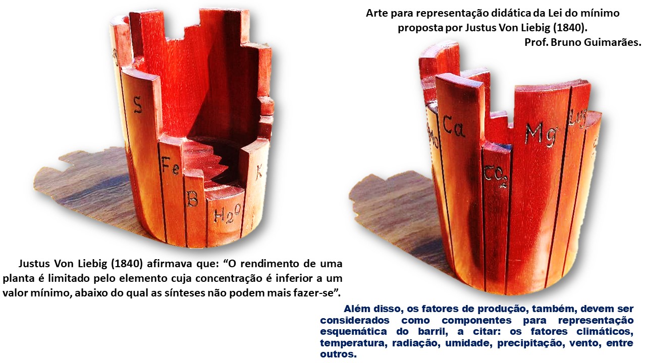 Arte para representação didática da Lei do mínimo proposta por Justus von Liebig (1840). Prof. Bruno Guimarães.