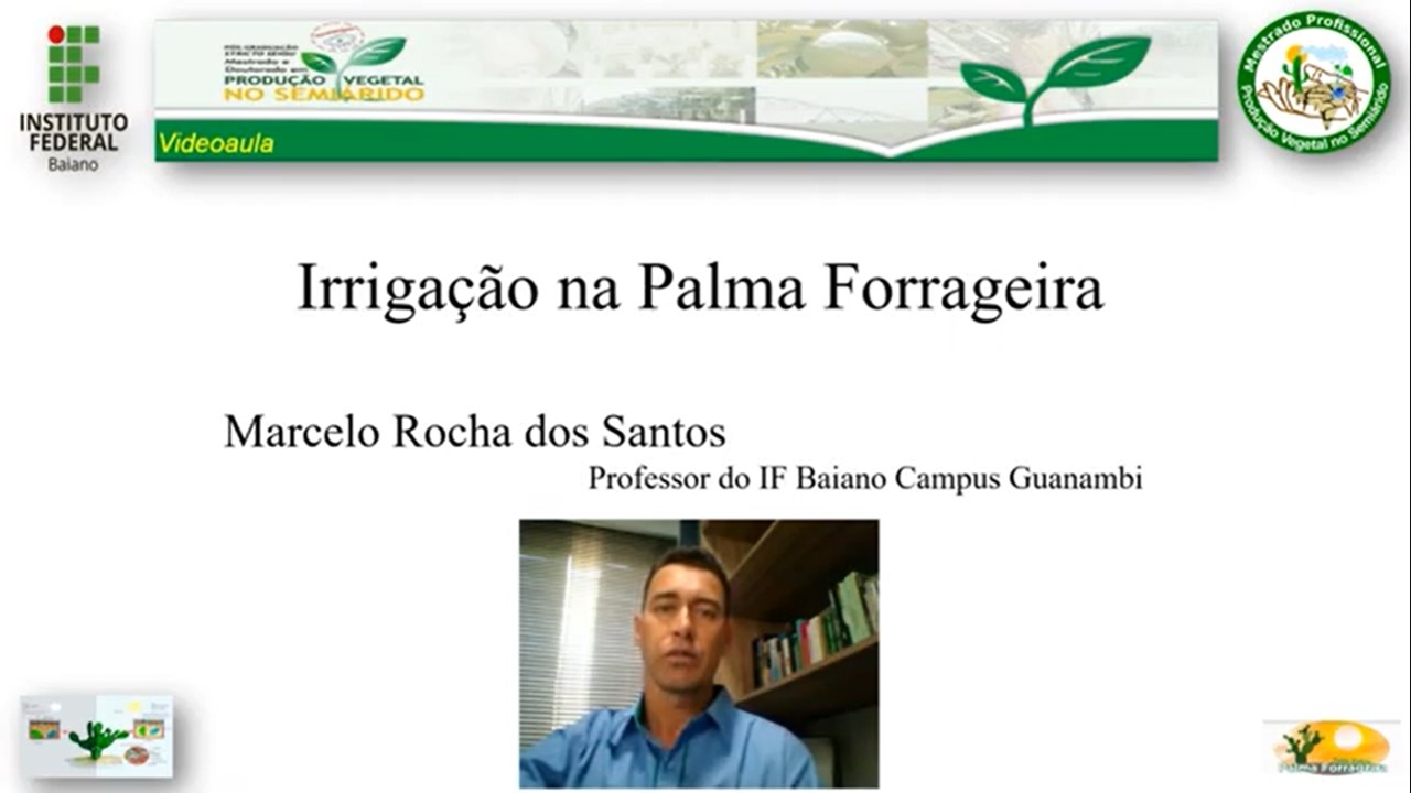 Irrigação na Palma Forrageira