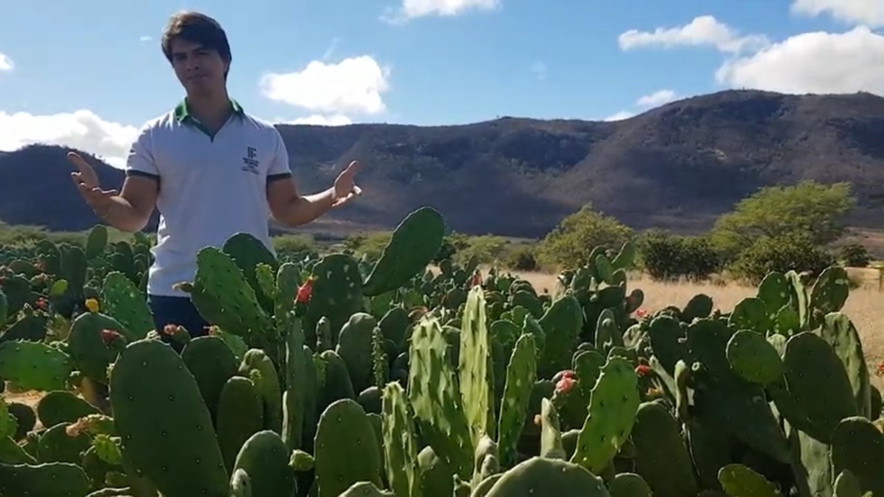 Botânica e cultivares com a pesquisadora Maria da Conceição Silva.