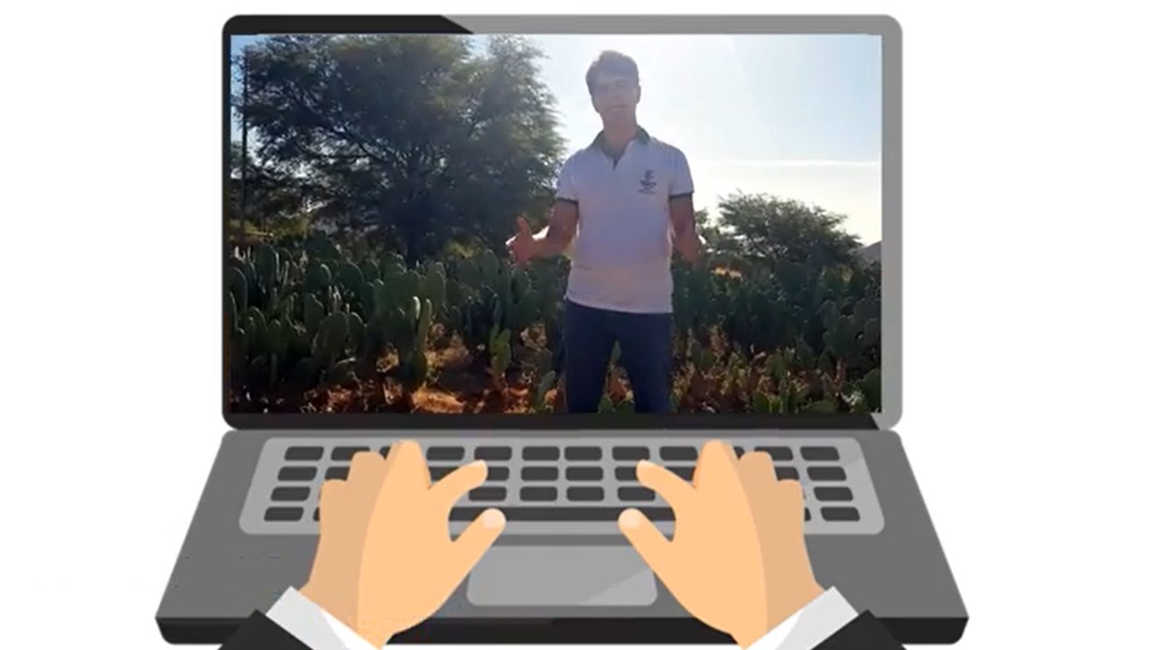Aplicativo palma digital. Proposta de pós-doutoramento UNIMONTES/IF BAIANO
