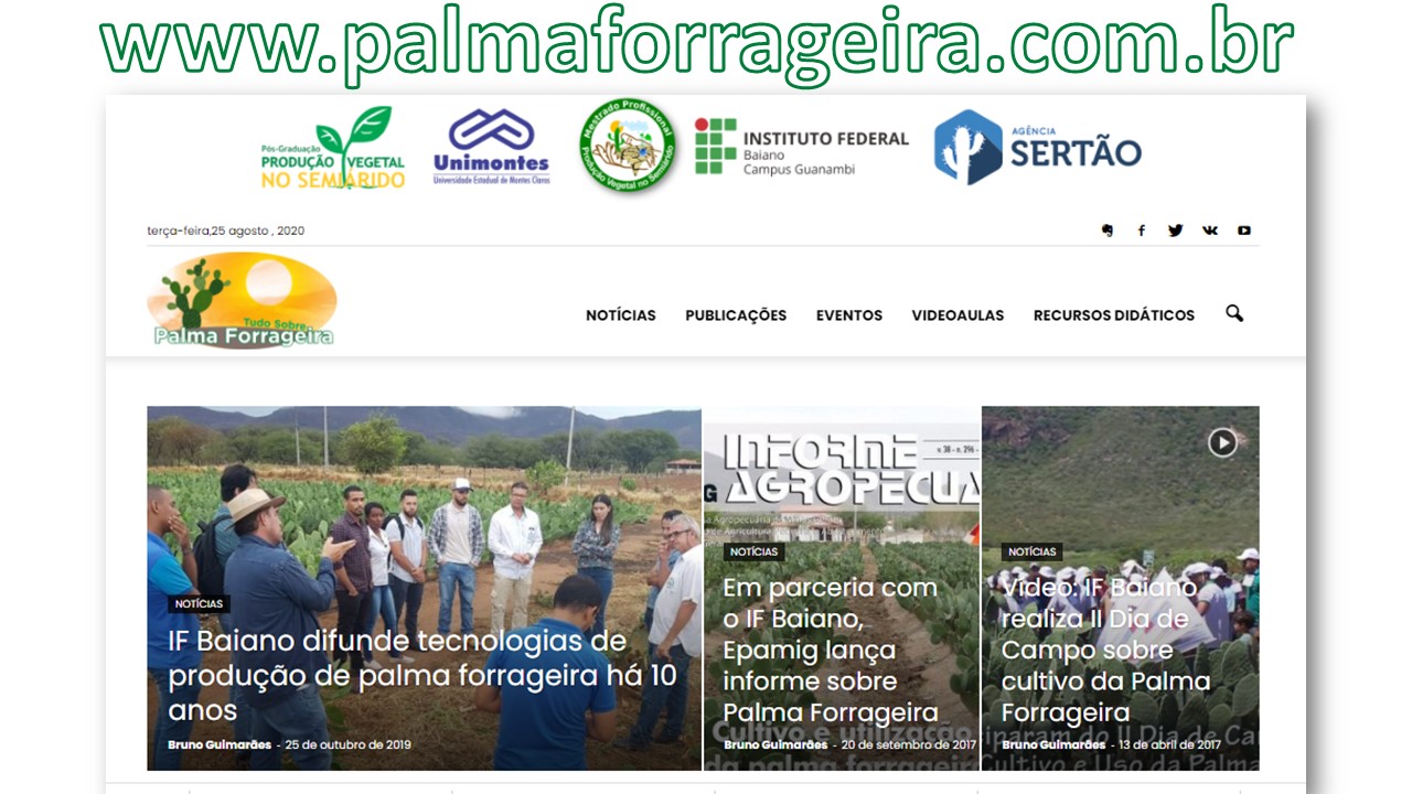 Demonstração do site www.palmaforrageira.com.br